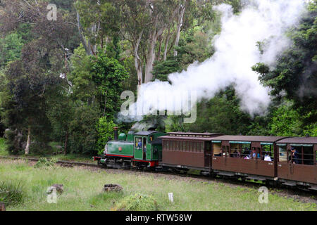 Visitare l'Australia. Scenic e viste di Australia. Treno a Vapore Puffing Billy il Dandenongs, Victoria, Australia Foto Stock