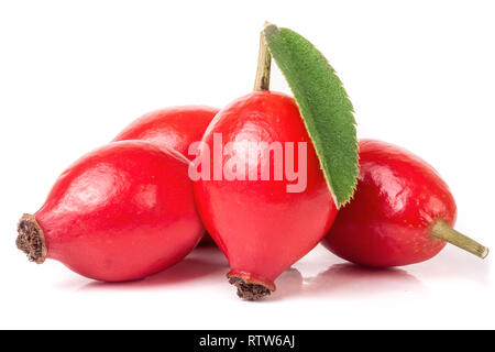 Rosa Mosqueta berry con foglie isolati su sfondo bianco Foto Stock