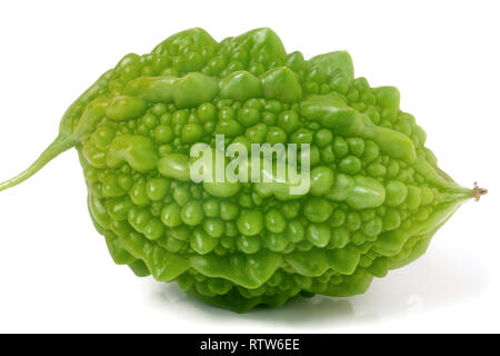 Un verde melone amaro o momordica isolati su sfondo bianco Foto Stock