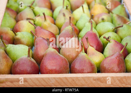 Le pere in una scatola di legno come sfondo Foto Stock
