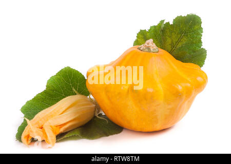 Giallo pattypan squash con foglie e fiori isolati su sfondo bianco Foto Stock