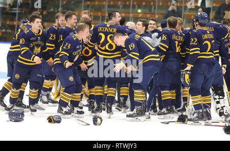 New Haven, CT, Stati Uniti d'America. 2 Mar, 2019. 2 marzo 2019 - New Haven, Connecticut, Stati Uniti d'America: Quinnipiac #23 ZACK METSA e #19 TJ FRIEDMANN celebrare Quinnipiac's 4-1 conquistare Yale, che aveva conquistato il Bobcats stagione regolare campionato, e li rende il n. 1 sementi complessiva nel 2019 ECAC Hockey Tournament. I giochi tra le due scuole che sono a 8 miglia da ogni altro nel Connecticut, sono state una rivalità riscaldato dal momento che due squadre hanno giocato per un campionato nazionale in 2013, che è stato vinto da Yale 4-0. Stan Godlewski/ZUMA Premere Credito: Stan Godlewski/ZUMA filo/Alamy Live News Foto Stock