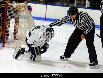 New Haven, CT, Stati Uniti d'America. 2 Mar, 2019. 2 marzo 2019 - New Haven, Connecticut, Stati Uniti d'America: arbitro controlli su Yale #21 TYLER WELSH dopo le cose sono ruvide durante Quinnipiac's 4-1 win, che aveva conquistato il Bobcats stagione regolare campionato, e li rende il n. 1 sementi complessiva nel 2019 ECAC Hockey Tournament. I giochi tra le due scuole che sono a 8 miglia da ogni altro nel Connecticut, sono state una rivalità riscaldato dal momento che due squadre hanno giocato per un campionato nazionale in 2013, che è stato vinto da Yale 4-0. Stan Godlewski/ZUMA Premere Credito: Stan Godlewski/ZUMA filo/Alamy Live News Foto Stock