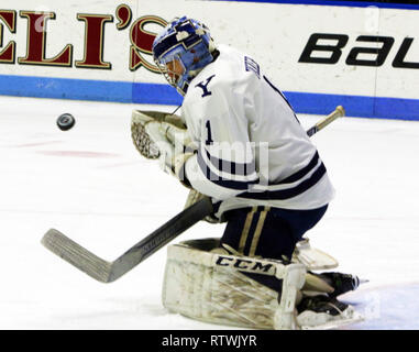 New Haven, CT, Stati Uniti d'America. 2 Mar, 2019. 2 marzo 2019 - New Haven, Connecticut, Stati Uniti d'America: Yale goaltender SAM TUCKER fa un salvataggio durante Quinnipiac's 4-1 win, che aveva conquistato il Bobcats stagione regolare campionato, e li rende il n. 1 sementi complessiva nel 2019 ECAC Hockey Tournament. I giochi tra le due scuole che sono a 8 miglia da ogni altro nel Connecticut, sono state una rivalità riscaldato dal momento che due squadre hanno giocato per un campionato nazionale in 2013, che è stato vinto da Yale 4-0. Stan Godlewski/ZUMA Premere Credito: Stan Godlewski/ZUMA filo/Alamy Live News Foto Stock