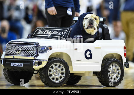 Washington, Distretto di Columbia, Stati Uniti d'America. 3 Mar, 2019. Georgetown Hoyas Jack mascotte del Bull Dog con capitale uno Arena. Credito: Terrence Williams/ZUMA filo/Alamy Live News Foto Stock