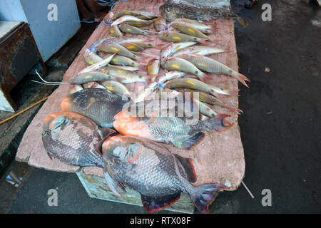 Pesci della barriera corallina per la vendita nel mercato Suva, Suva, Viti Levu, Figi e Sud Pacifico Foto Stock