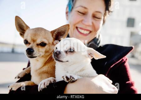 Ridendo donna con due cani sul suo braccio, Chihuahua e Pinscher in miniatura, Germania Foto Stock