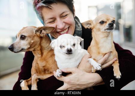 Ridendo donna tenendo le sue tre cani nelle sue braccia, Miniature pinscher e i Chihuahua, Germania Foto Stock