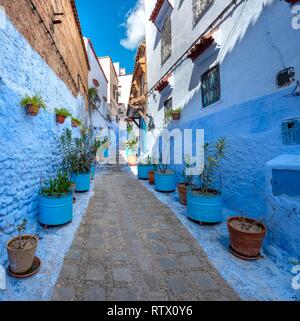 Vicolo stretto con vasi di fiori blu case, medina di Chefchaouen, Chaouen, Tanger-Tétouan, Marocco Foto Stock