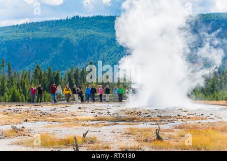 I turisti osservare l eruzione del geyser, Jewel Geyser, sabbia nera e bacino bacino di biscotto, il Parco Nazionale di Yellowstone Foto Stock