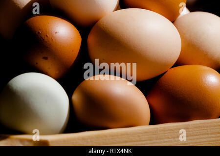 Pianura multicolore di intervallo libero uova in luce naturale sulla piastra woode. Chiudere la composizione Foto Stock