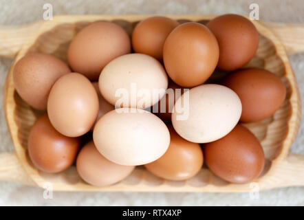 Pianura multicolore di intervallo libero uova in luce naturale sulla piastra woode. Chiudere in alto consente di visualizzare la composizione Foto Stock