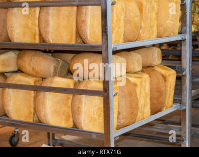Righe a caldo di pane croccante focacce giacenti sugli scaffali del supermercato, mini forno, sullo sfondo di un pane fresco, nessuno Foto Stock