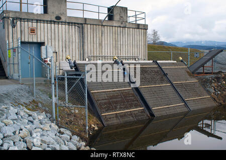 McKechnie stazione pompa che mostra la schermata di detriti sul S. Alouette River dike, Pitt Prati, British Columbia, Canada. Foto Stock