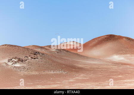 Deserto, dune e barene della costa peruviana, Paracas Foto Stock