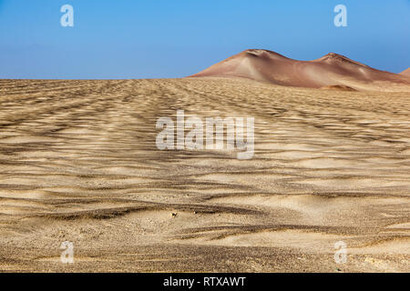 Deserto, dune e barene della costa peruviana, Paracas Foto Stock