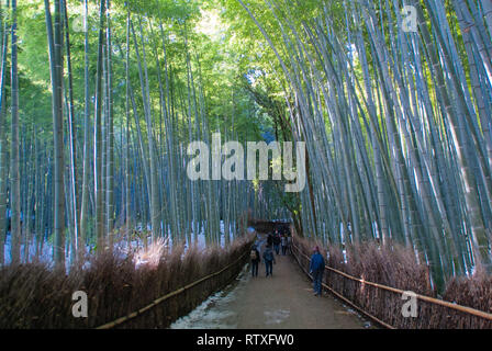 Un viale di boschetto di bambù nel distretto di Arashiyama di Kyoto in Giappone. Foto Stock
