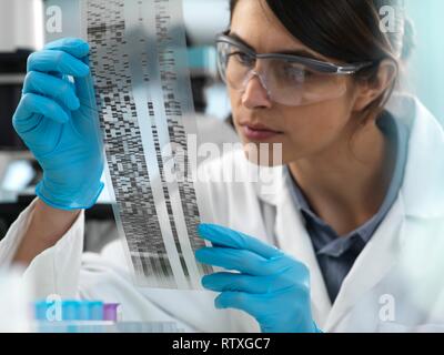 Donna scienziato visualizzazione di un autoradiogramma gel durante un esperimento in laboratorio. Foto Stock