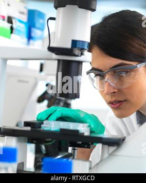 Scienziato visualizzazione di un multi ben piastra contenente i campioni per i test in laboratorio. Foto Stock