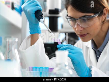 Scienziato il pipettaggio di campione in una provetta per le analisi in laboratorio. Foto Stock
