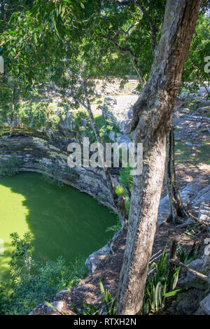 Cenote X'toloc, Chichén-Itzá, Yucatan, Messico Foto Stock