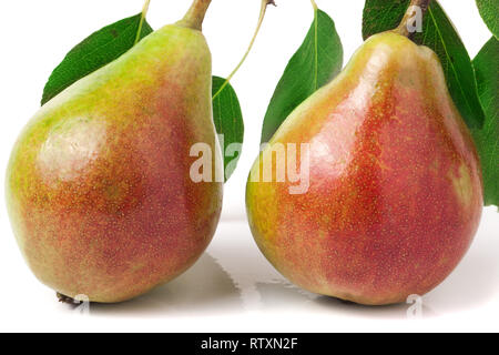 Due pere rosso con foglie isolati su sfondo bianco Foto Stock