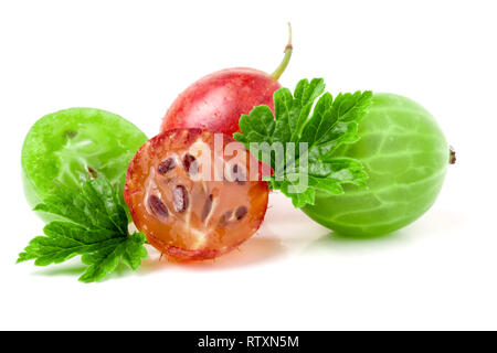 Il rosso e il verde uva spina con foglie su sfondo bianco Foto Stock