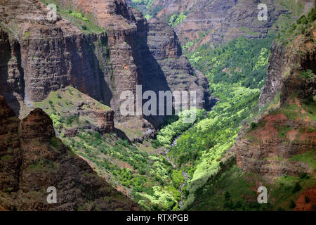 Il Canyon di Waimea, il Grand Canyon del Pacifico", visto dal principale lookout, Kauai, Hawaii, STATI UNITI D'AMERICA Foto Stock