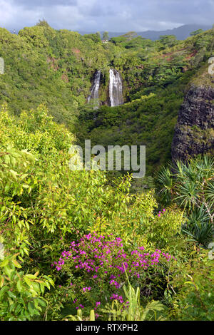 Opaeka'a Falls, Kauai, Hawaii, STATI UNITI D'AMERICA Foto Stock