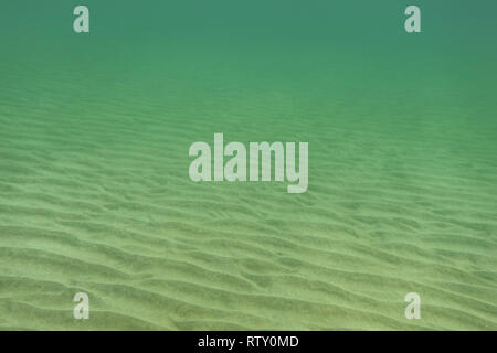 Fotografia subacquea - quasi piatto fondo del mare, solo piccole sabbia 'dunes' visibile. Abstract sfondo marino. Foto Stock