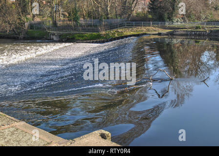 La weir a Shrewsbury che mostra una bella superficie riflettente dell'acqua che scorre al di sopra Foto Stock
