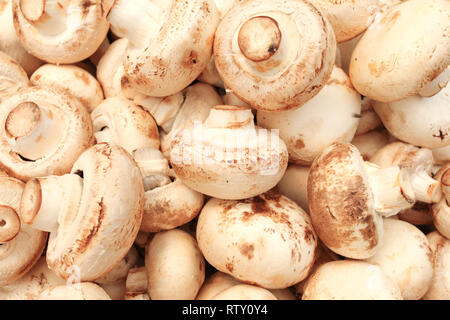 Funghi champignon visualizzato sul mercato alimentare. Kyrenia, la parte settentrionale di Cipro Foto Stock