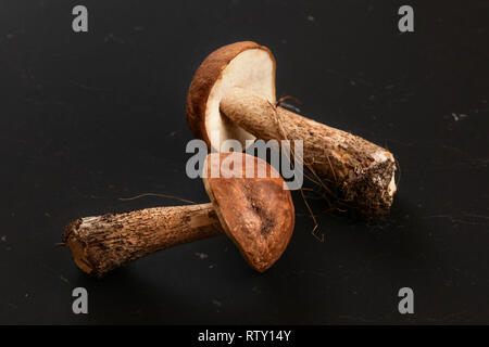 Due appena raccolto di funghi (scaber deviosgancio / Leccinum scabrum) via lo sporco dalla foresta ancora su di essi, sul grigio scuro, quasi nero bordo. Foto Stock