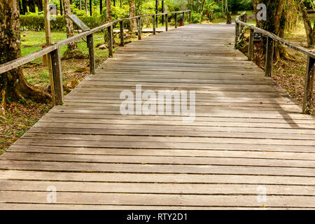 Passerella in legno nel parco. Percorso da tavole di legno. Sarawak villaggio della cultura. Borneo. Malaysia. Foto Stock