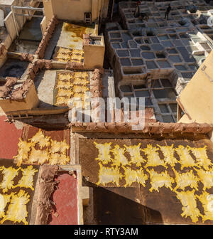 Pelli di animali di essiccazione al sole sul tetto a Chouara conceria, Fes, Marocco Foto Stock