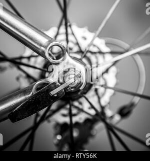 Frammento di un telaio e parti di una bici da corsa. Il telaio è realizzato in titanio e vi sono numerosi dettagli da vedere; qui è la ruota a razze Foto Stock