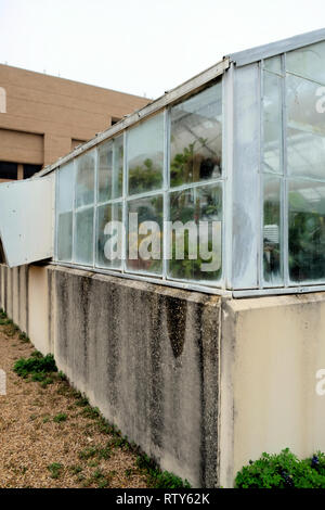 Il lato di una serra sul campus della Texas A&M University; College Station, Texas, Stati Uniti d'America. Foto Stock