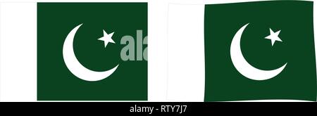 Bandiera del Pakistan. Semplice e leggermente sventolando versione. Illustrazione Vettoriale