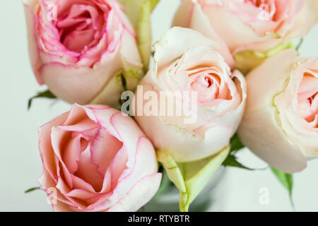 Le rose rosa bouquet delicato morbido roses closeup, molla bouquet di rose in un vaso Foto Stock