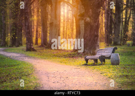 Emplty sabbia curvo del percorso di foresta al tramonto o l'alba. Alberi da banco e sui lati della strada. Foto Stock