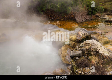 Fumarola fumo e acqua primavera in area geotermica di Furnas Azzorre, Portogallo Foto Stock