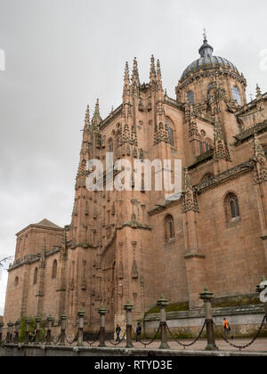 Cattedrale di Salamanca Foto Stock