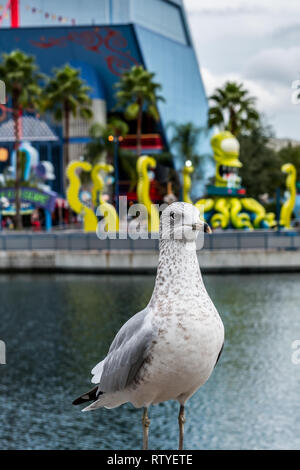ORLANDO, FLORIDA, Stati Uniti d'America - Dicembre 2018: bella vista lago con piccione e Simpsons area a sfondo, gli Universal Studios Florida Foto Stock