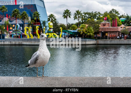 ORLANDO, FLORIDA, Stati Uniti d'America - Dicembre 2018: bella vista lago con piccione e Simpsons area a sfondo, gli Universal Studios Florida Foto Stock