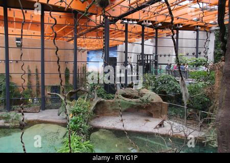 WROCLAW, Polonia - 31 gennaio 2015: la gente visita Afrykarium a Wroclaw Zoo. Afrykarium è un albergo di nuova costruzione (2014) Africano pavilion con alcuni 100 animale s Foto Stock