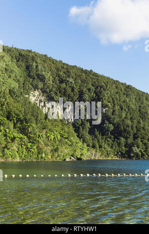 Linea di boa galleggianti sull'acqua nella parte anteriore del ​lush verde collina dal lago Okataina, NZ. Foto Stock