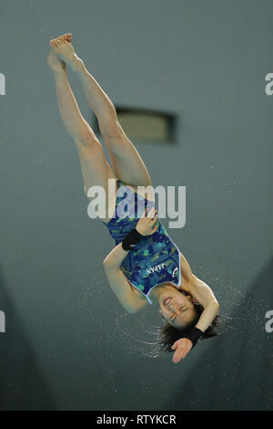 Sagamihara Green Center, Kanagawa, Giappone. 2 Mar, 2019. Matsuri Arai (JPN), 2 marzo 2019 - Immersioni subacquee : FINA Diving World Series 2019 Sagamihara Donne 10m Platform semi-finale di Sagamihara Green Center, Kanagawa, Giappone. Credito: YUTAKA AFLO/sport/Alamy Live News Foto Stock