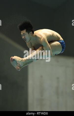 Sagamihara Green Center, Kanagawa, Giappone. 2 Mar, 2019. Sho Sakai (JPN), 2 marzo 2019 - Immersioni subacquee : FINA Diving World Series 2019 Sagamihara Uomini 3m Springboard Semifinale a Sagamihara Green Center, Kanagawa, Giappone. Credito: YUTAKA AFLO/sport/Alamy Live News Foto Stock