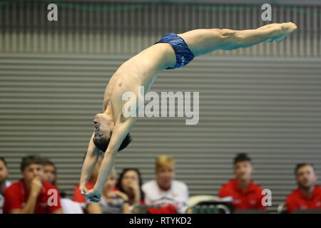 Sagamihara Green Center, Kanagawa, Giappone. 2 Mar, 2019. Sho Sakai (JPN), 2 marzo 2019 - Immersioni subacquee : FINA Diving World Series 2019 Sagamihara Uomini 3m Springboard Semifinale a Sagamihara Green Center, Kanagawa, Giappone. Credito: YUTAKA AFLO/sport/Alamy Live News Foto Stock