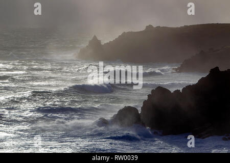 Sennen, Cornwall, Regno Unito. Il 3° marzo 2019. Gale force venti e 20ft di onde alte ancorare le scogliere di granito della Cornovaglia. Ponticelli audaci ottenere catturati da alcune enormi ondate di subissare la pier. Credito: Mike Newman/Alamy Live News. Foto Stock